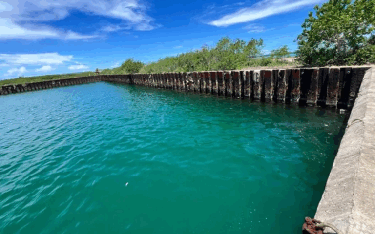 Oil spill cleanup in Tinian Harbor completed